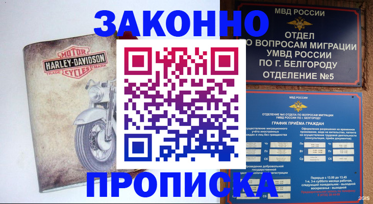 прописка для школы в Подольске